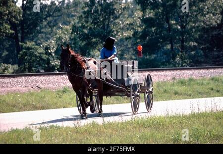 Eine Amish-Frau sucht nach Verkehr, als sie in ihrem Pferdewagen in den südlichen Missouri Ozarks den Highway überquert. Stockfoto