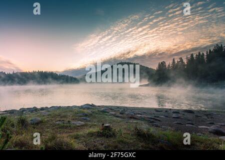 Morgen Nebel am See, Berge Kiefernwald Landschaft, Shiroka polyana Stausee Damm, Bulgarien Stockfoto