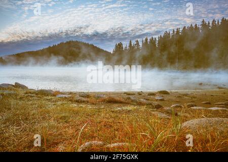 Morgen Nebel am See, Berge Kiefernwald Landschaft, Shiroka polyana Stausee Damm, Bulgarien Stockfoto