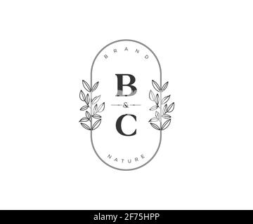 BC Letters schöne floral feminin editierbar vorgefertigten Monoline Logo geeignet für Spa Salon Haut Haar Schönheit Boutique und Kosmetik Unternehmen. Stock Vektor