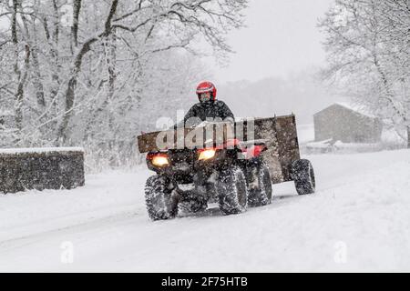 Landwirt auf einem Quad mit Anhänger voller Heu, der eine schneebedeckte Straße entlang fährt, um Schafe zu füttern. Hawes, North Yorkshire, Großbritannien. Stockfoto