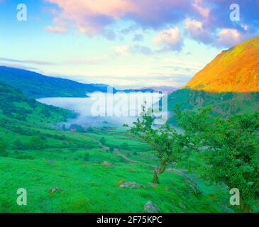 Großbritannien, Wales, Gwyned, Snowdonia National Park, nebliger Morgen über Llyn Gwynant, Stockfoto