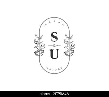 SU Buchstaben schöne florale feminine editierbare vorgefertigte Monoline Logo geeignet für Spa Salon Haut Haar Schönheit Boutique und Kosmetik Unternehmen. Stock Vektor