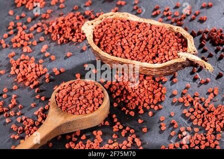 Rohe rote Bio-Annatto-Samen - Bixa orellana Stockfoto