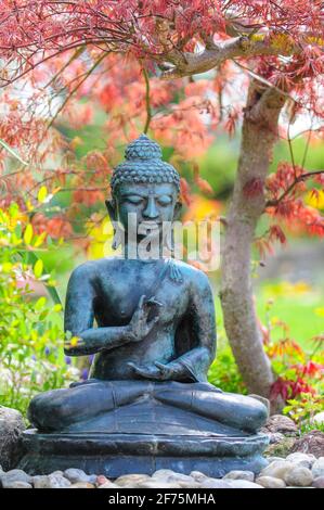 Buddha Skulptur im Ziergarten Stockfoto