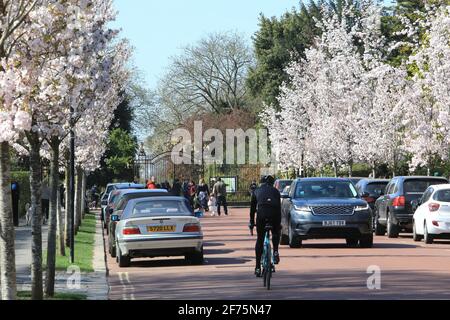 London, Großbritannien, 4. April. Die von Blüten gesäumte Chester Road im Regents Park an einem sonnigen und warmen Ostertag. Menschenmassen strömten in den Park, um sich mit Freunden und Familie zu treffen. Monica Wells/Alamy Live News Stockfoto