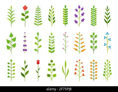 Verzweigungen Farbe flach gesetzt. Trennwand mit florierenden Retro-Ornamenten. Pflanzliche kunstvolle Doodle Design-Elemente. Vintage botanische Bordüre. Hochzeitseinladung, Grußkarte, Sammelalbum Stempel, Siegerkranz florales Dekor Stock Vektor