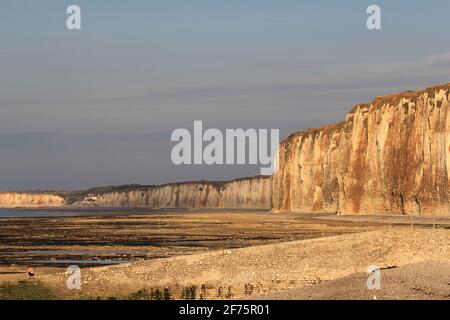 Wunderschöne goldfarbene Klippen hinter dem Strand am french Küste in der normandie an einem Sommerabend Stockfoto