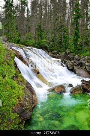 Wasserfälle am Bach Studeny potok in der Hohen Tatra, Westkarpaten, Slowakei Stockfoto