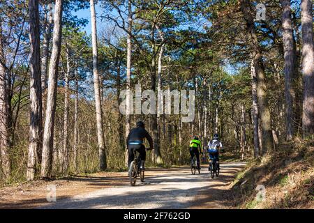 Mödling: Mountainbiker, Naturpark Föhrenberge in Wienerwald, Wienerwald, Niederösterreich, Niederösterreich, Österreich Stockfoto