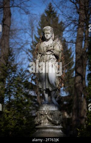 Kleines Engelmädchen alte Steingrabskulptur mit Rose und Kreuz zur Brust, bedeckt mit schleichenden Pflanzen, evangelischer Augsburger Friedhof, Warschau, P Stockfoto