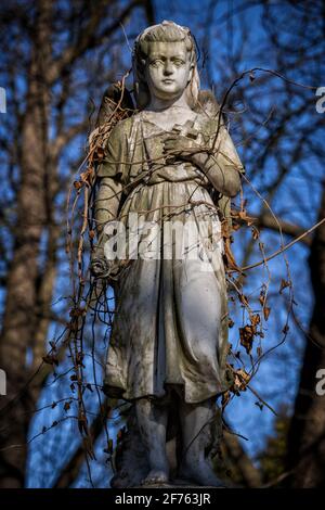 Kleines Engelmädchen alte Steingrabskulptur mit Rose und Kreuz zur Brust, bedeckt mit schleichenden Pflanzen, evangelischer Augsburger Friedhof, Warschau, P Stockfoto