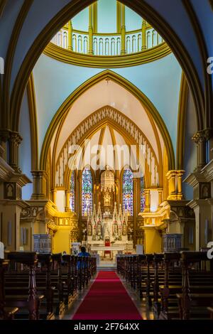 Kathedrale unserer Lieben Frau von der guten Reise, Belo Horizonte, Brasilien Stockfoto