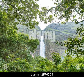 São Roque de Minas - MG, Brasilien - 13. Dezember 2020: Blick durch die Bäume des Casca D'anta Wasserfalls im Nationalpark der Canastra Sierra. Stockfoto