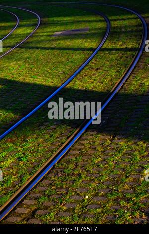 Eisenbahnschienen im Gras, verschwinden hinter der Straße abbiegen Stockfoto