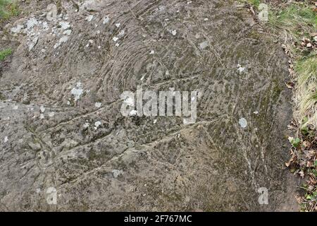 Sun Goddess Carving - Bidston Hill, Wirral, Großbritannien Stockfoto