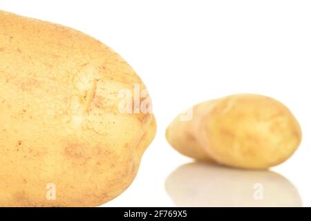 Zwei frische, nicht geschälte, rohe, organische, saftige Kartoffeln auf weißem Grund. Stockfoto