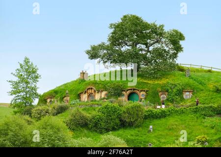 Idyllische Landschaft am Shire, vertreten durch eine Region in der Nähe Matama auf der Nordinsel Neuseelands Stockfoto