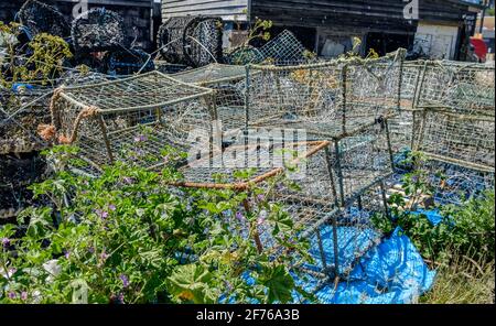 Staycation Idee. Nahaufnahme von alten Hummer- und Krabbenköpfen am Stade-Strand, Hastings. East Sussex, Südostengland, Großbritannien. Stockfoto