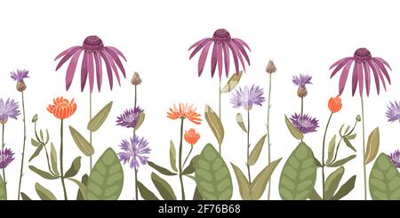 Vektor florales nahtloses Muster, dekorativer Rand mit Kornblume Centaurea, Echinacea und Ringelblume. Violette, violette und orangefarbene Blüten. Stockfoto