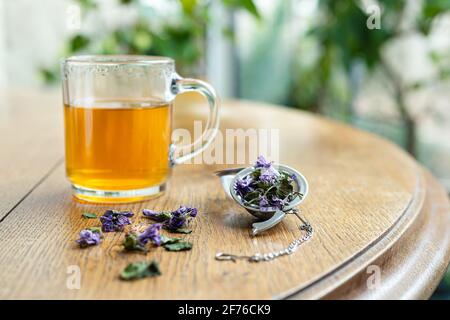 Eine transparente Tasse mit Kräutertee und einem Teeaufbereiter mit getrockneten Kräutern - Thymian, grünem Aniskraut, gemahlenem Efeu, Kiefernknospen, Malvenblüten auf einem alten Holztisch Stockfoto