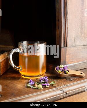 Hustentee in einer durchsichtigen Tasse und einem Holzlöffel mit getrockneten Kräutern - Thymian, grünem Anisgestein, gemahlenem Efeu, Kiefernknospen, Malvenblüten auf einem alten Holzlöffel Stockfoto