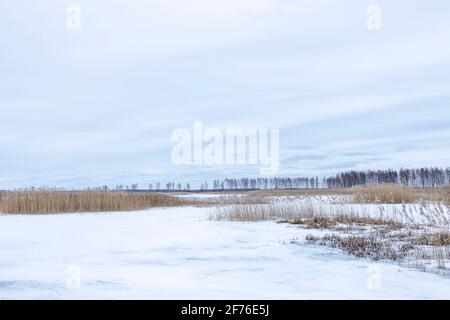 Winterlandschaft mit einem entwickelten Moorsee. Stockfoto