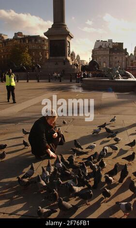 EINE FRAU FÜTTERT DIE TRAFALGAR SQ TAUBEN ALS WÄRTERIN ANNÄHERUNGEN.,14/11/03 PILSTON Stockfoto