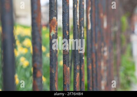 Rostige Eisenstangen Stockfoto