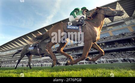 RENNEN IN ASCOT 27/9/2008. QUEEN ELIZABETH 11 EINSÄTZE. JIMMY FORTUNE AUF RAVEN GEWINNT VON HENRYTHENAVIGATOR. BILD DAVID ASHDOWN Stockfoto