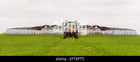 Traktor mit Tramspred-Güllestreuer Dribble Bar und montiertem Schlauchaufroller, Aufbringen von Gülle auf Jungpflanzen auf einem Feld. Hertfordshire, Großbritannien Stockfoto