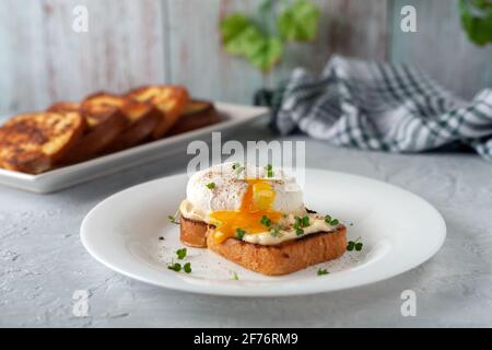 Pochiertes Ei mit Mayonnaise und Microgreens. Leckeres Frühstück. Gesunde Ernährung Stockfoto