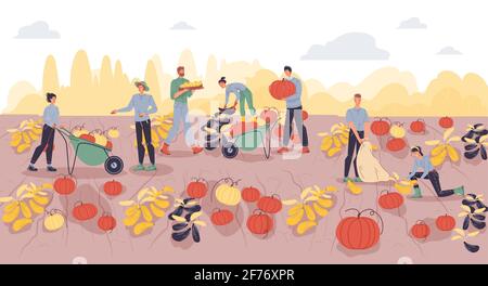 Flache Cartoon-Figuren Ernte, Vektor-Illustration Konzept Stock Vektor