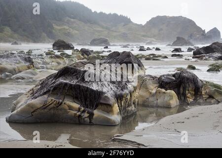 Lone Ranch Beach in Brookings, Oregon. Stockfoto