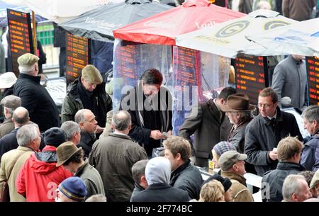 RENNEN IN CHELTENHAM. DIE UNABHÄNGIGEN NEWSPAPER JAGEN. 16/11/2008. BILD DAVID ASHDOWN Stockfoto