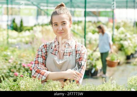 Junge Gärtnerin in Casualwear und Schürze, die die Arme kreuzt Brust beim Stehen gegen große Blumenbeete und Kollegen im Treibhaus Stockfoto