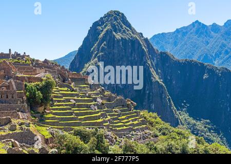 Machu Picchu inka-Ruinen im Sommer, historisches Heiligtum von Machu Picchu, Cusco, Peru. Stockfoto