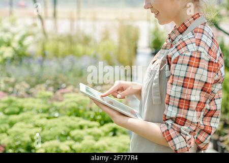 Seitenansicht einer glücklichen jungen Arbeiterin des Gewächshauses, die zeigt Beim Anzeigen des Touchpads beim Blättern durch die Bilder des Gartens Pflanzen Stockfoto