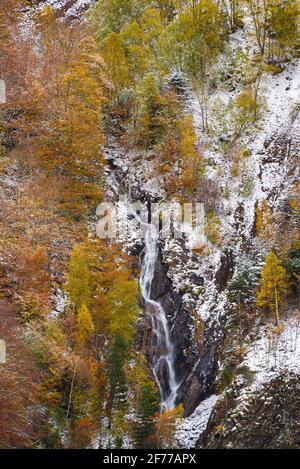 Herbstmischwälder und Bäche, die vom Besiberri-Tal ins Barrabés-Tal absinken (Aran-Tal, Pyrenäen, Katalonien, Spanien) Stockfoto