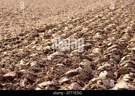 Ein frisch gepflügeltes Feld mit reicher brauner Erde, das im Frühlingssonne ausgetrocknet wurde. Stockfoto