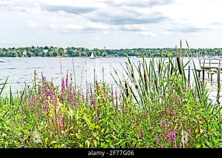 Berlin (Deutschland): Blick auf den Wannsee von der Villa Liebermann Stockfoto