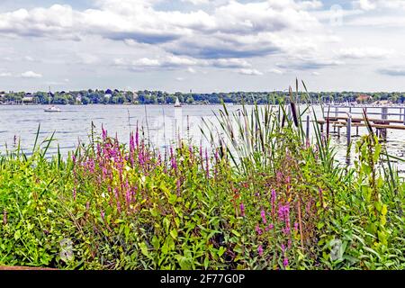 Berlin (Deutschland): Blick auf den Wannsee von der Villa Liebermann Stockfoto