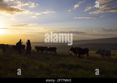 Tansania, Ngorongoro, Arusha-Region, Boma Mokila, Ngorongoro-Schutzgebiet, Ein paar Massai-Hirten trinken bei Sonnenuntergang Stockfoto