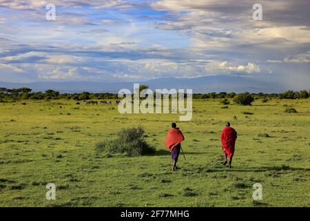 Tansania, Manyara Ranch, Arusha Region, zwei Massai Hirten in der geschützten Gegend der Manyara Ranch, wo wilde Leben und traditionelle Hüte koexistieren Stockfoto