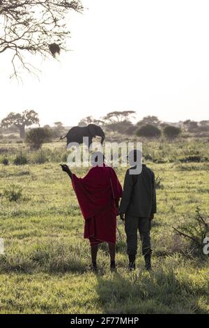 Tansania, WMA (Wildtierschutzgebiet) von Randilen, die Massai (Ureinwohner) und die Ranger arbeiten zusammen, um die Tierwelt zu schützen Stockfoto