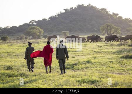 Tansania, WMA (Wildtierschutzgebiet) von Randilen, die Massai (Ureinwohner) und die Ranger arbeiten zusammen, um die Tierwelt zu schützen Stockfoto