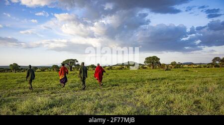 Tansania, WMA (Wildtierschutzgebiet) von Randilen, die Massai (Ureinwohner) und die Ranger arbeiten zusammen, um die Tierwelt zu schützen Stockfoto
