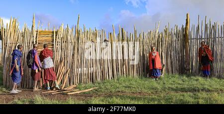 Tansania, Ngorongoro, Arusha-Region, Boma Mokila, Ngorongoro-Schutzgebiet, Zwei Paare von Massai-Hirten mit einem Baby, am Ende des Tages im Boma Stockfoto