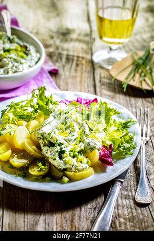 Frankreich, Paris, Quark in Faisselle gewürzt und mit Kartoffelsalat serviert Stockfoto