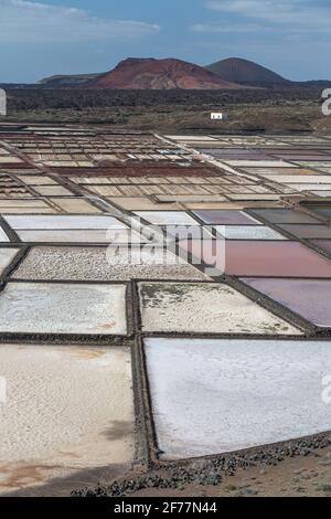 Spanien, Kanarische Inseln, Insel Lanzarote, Südwestküste, Las salinas de Janubio (Salinen von Janubio) Stockfoto